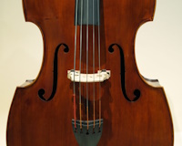 Contrebasse